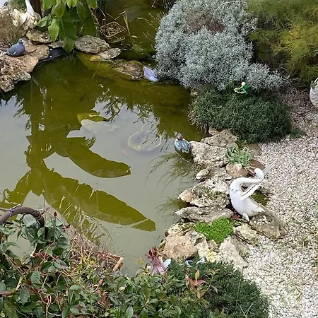 La Maison Du Bonheur Saintry-sur-Seine Exterior foto